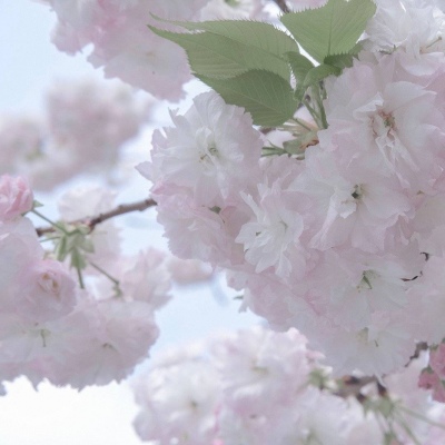 Furry数位板绘画入门技巧兽圈群